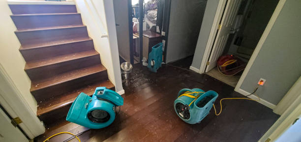 Best Fire Damage Restoration  in Coson, OK