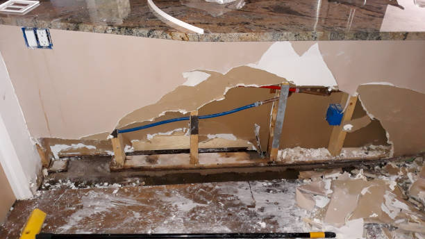 Best Professional water damage repair  in Coson, OK
