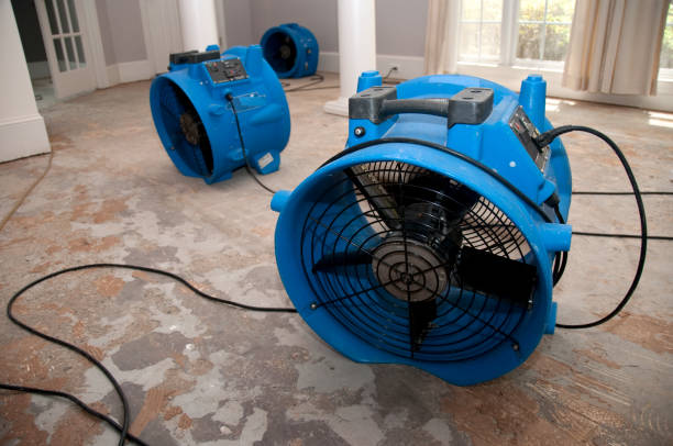 Best Water damage restoration near me  in Coson, OK