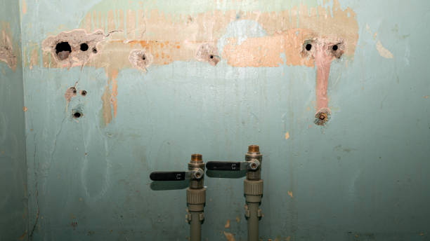 Best Water damage cleanup near me  in Coson, OK