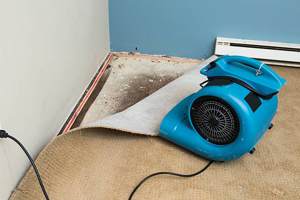 Best Sewage cleanup and water damage restoration  in Coson, OK